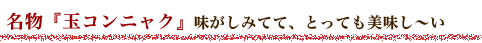 蔵王温泉民宿組合:銀嶺本店