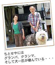 蔵王温泉民宿組合:ロッジ ちとせや